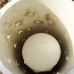 Chris Taylor